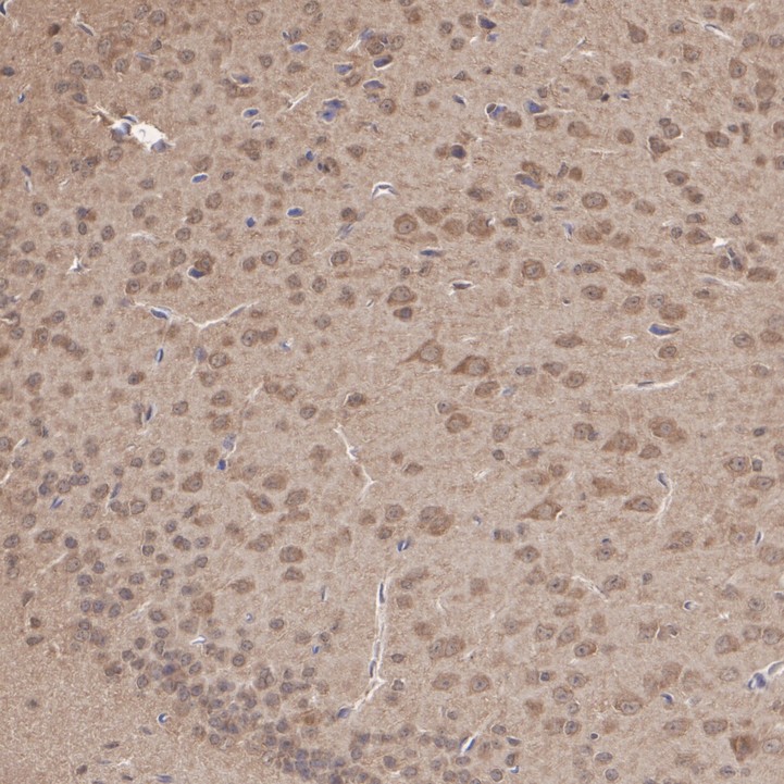 HA500484_5.jpg