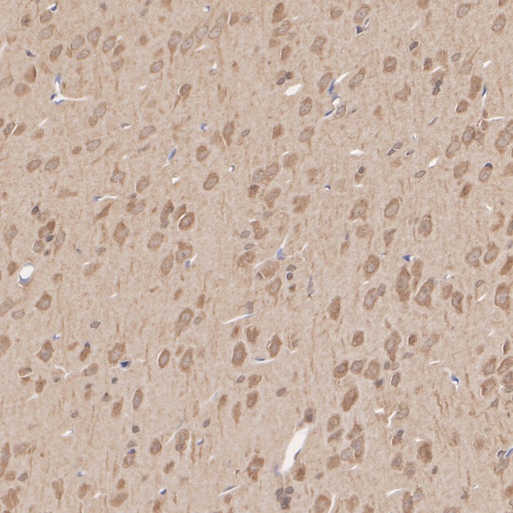 HA500484_7.jpg