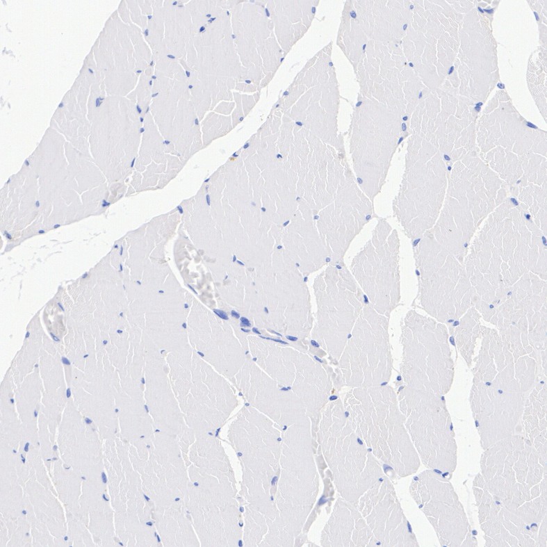 HA500560_3.jpg