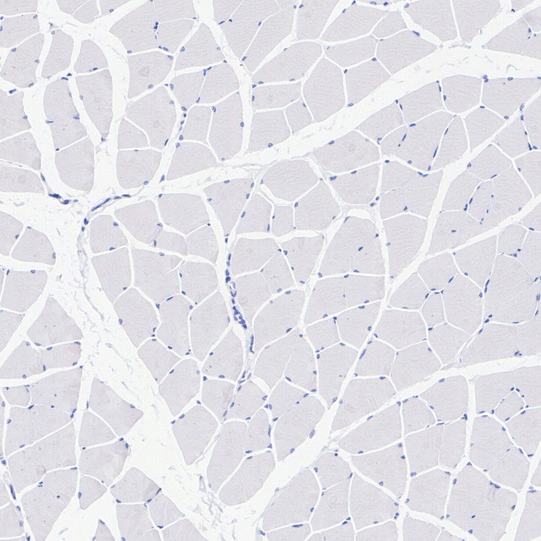 HA500560_5.jpg