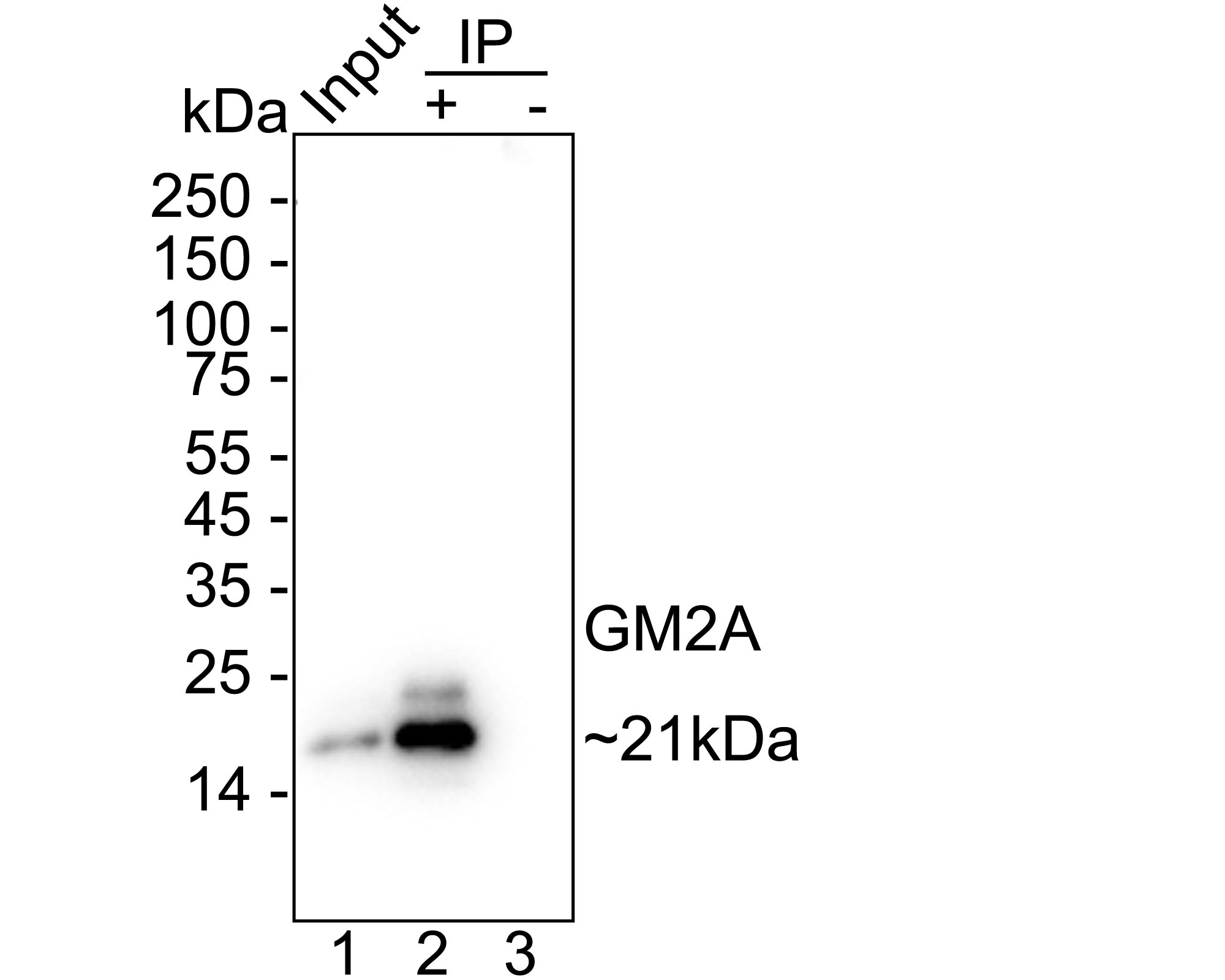 HA500560_6.jpg