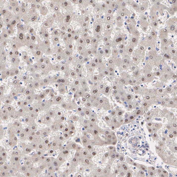 HA500624_2.jpg