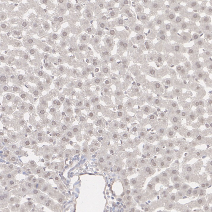 HA500624_6.jpg