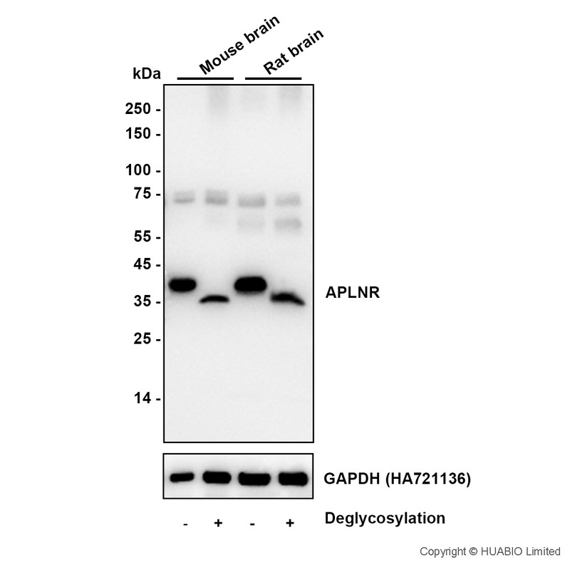 HA500634_1.jpg