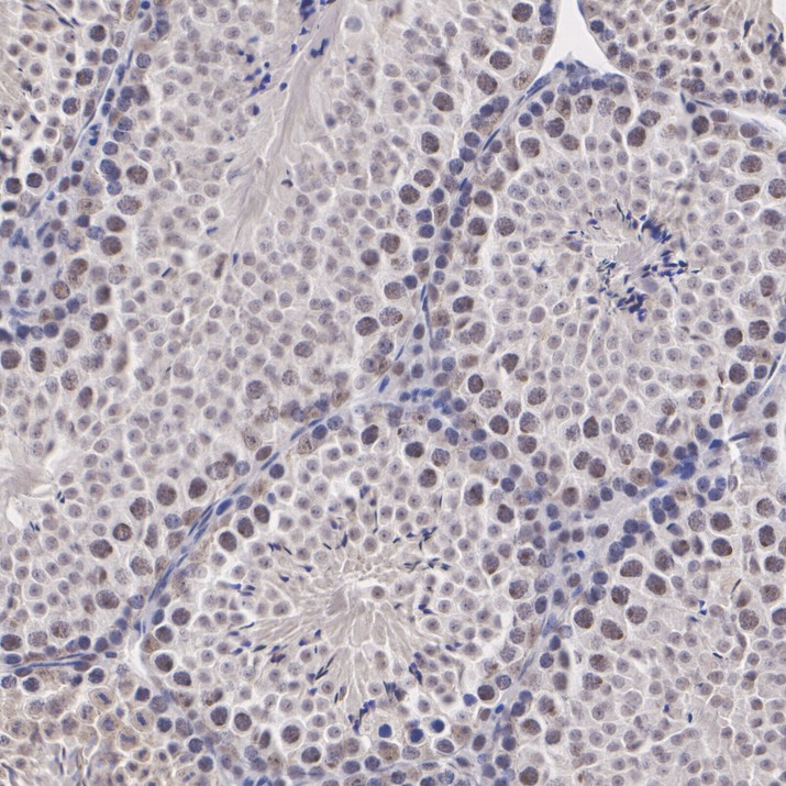 HA500636_6.jpg