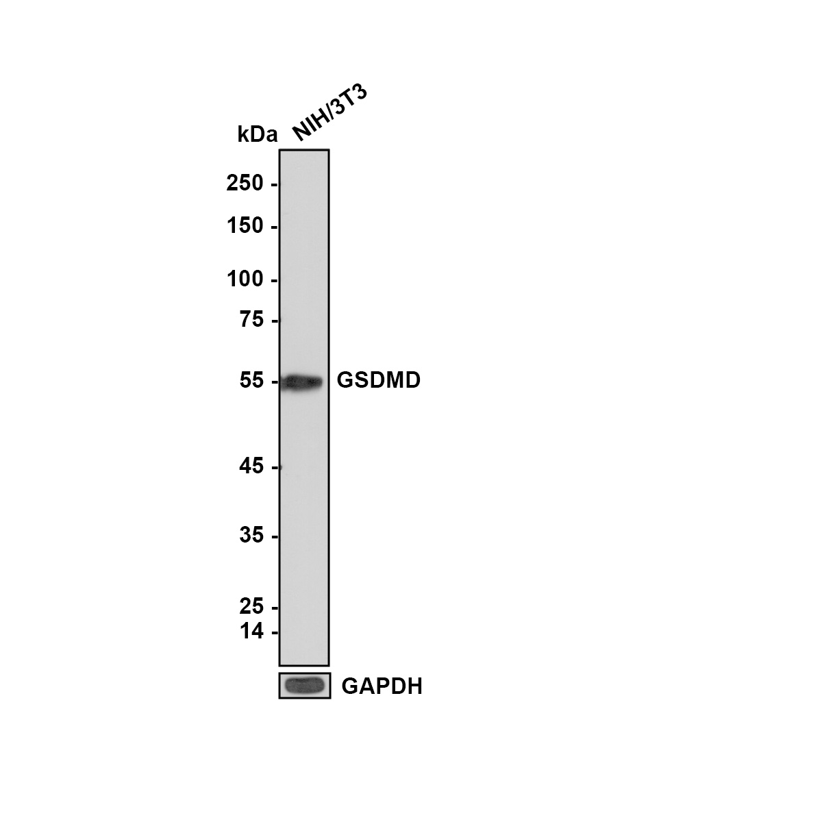 HA601046_2.jpg