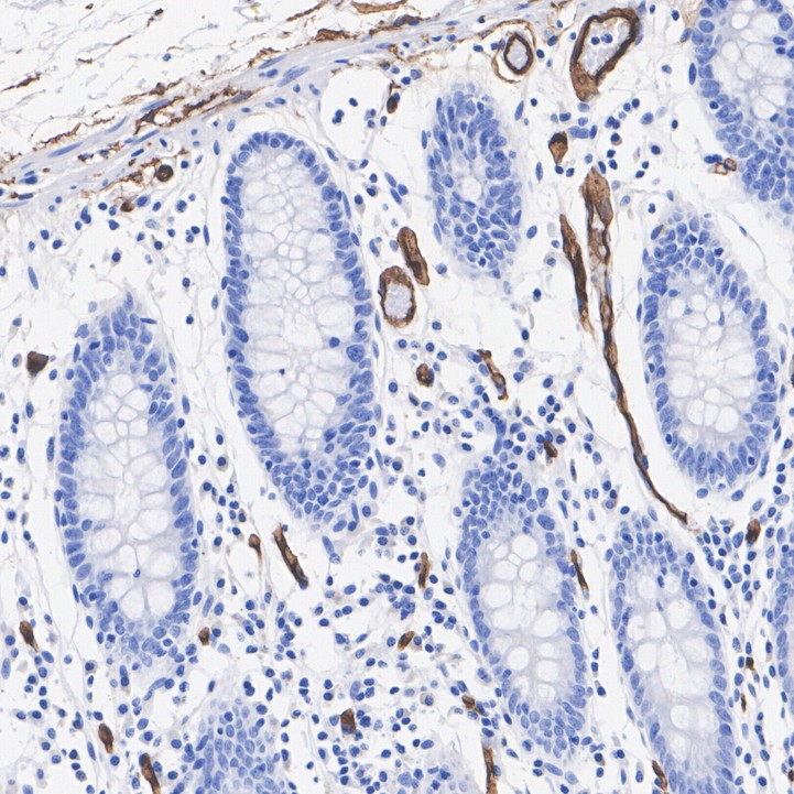 HA601109_5.jpg