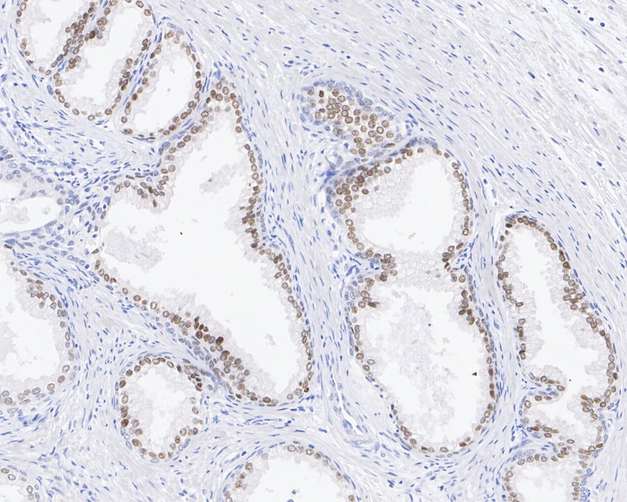 HA601298_3.jpg