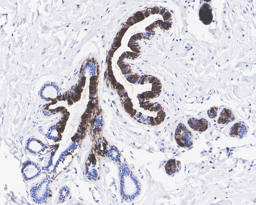 HA601323_3.jpg