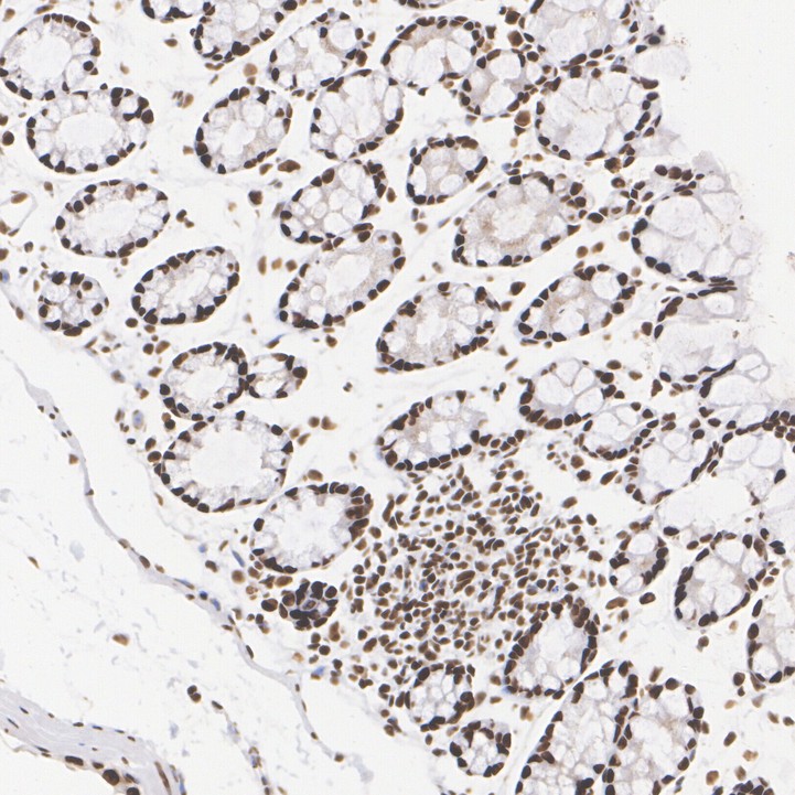 HA601364_6.jpg