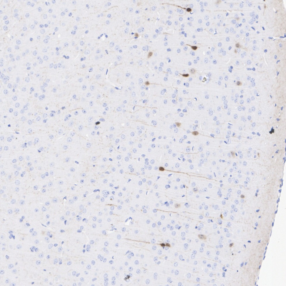 HA601369_5.jpg