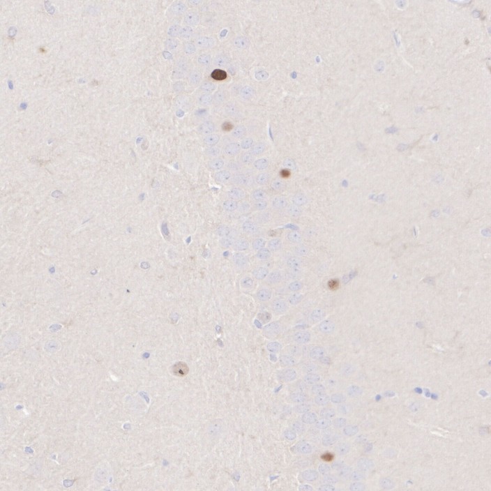 HA601373_6.jpg