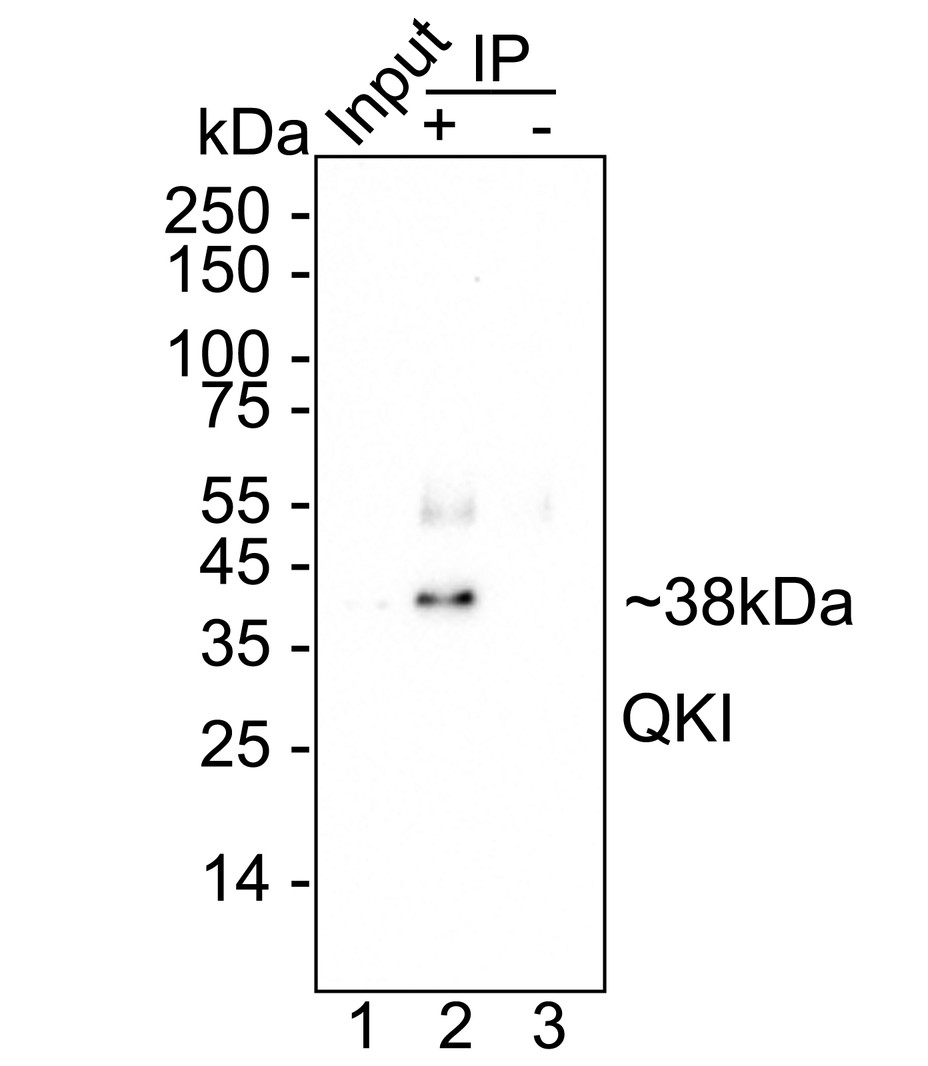 HA601377_6.jpg