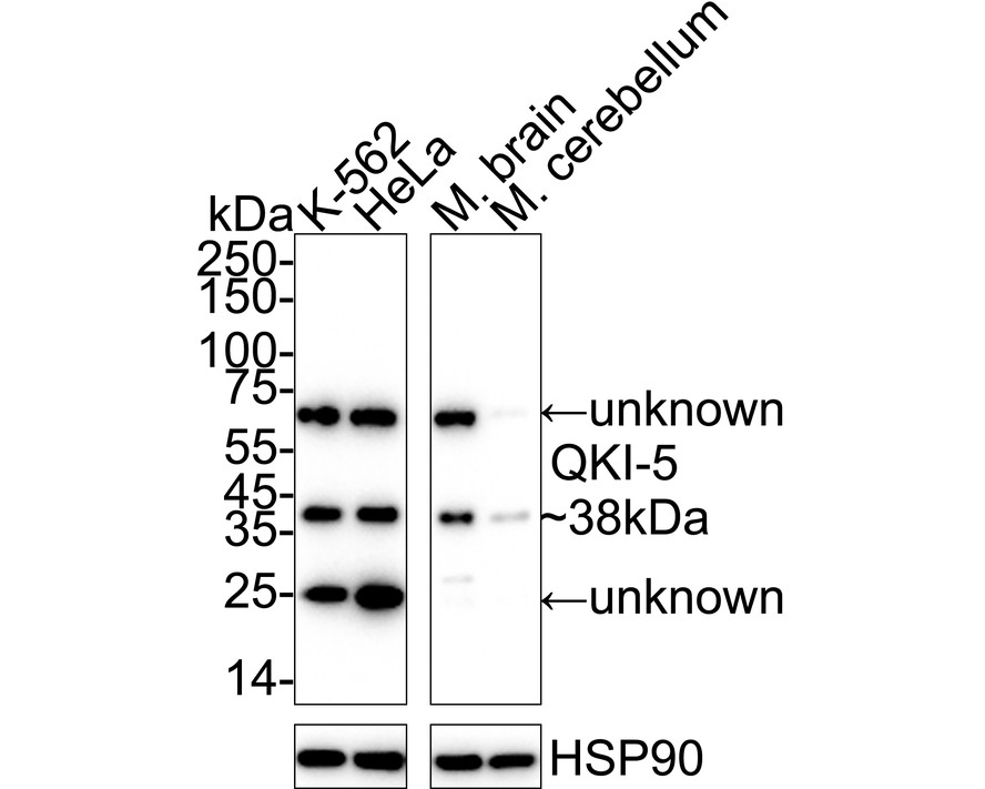 HA601378_2.jpg