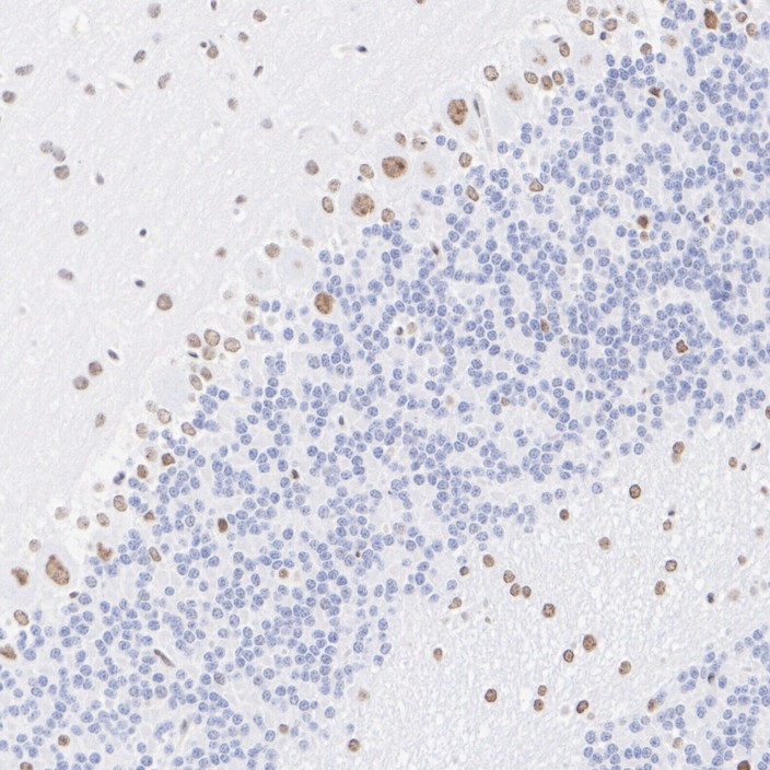 HA601378_4.jpg