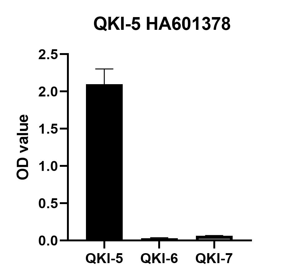 HA601378_5.jpg
