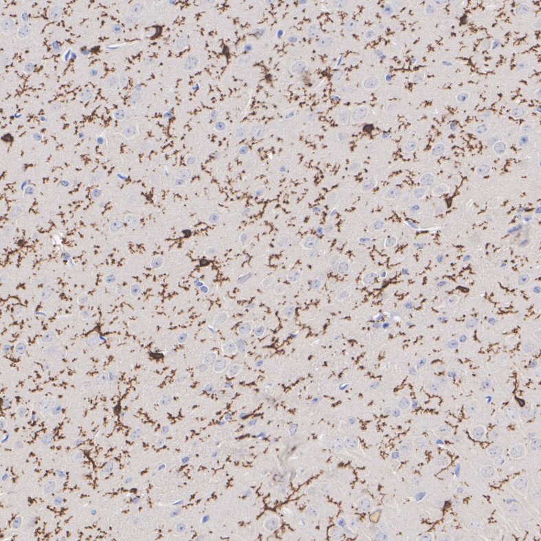 HA601388_3.jpg