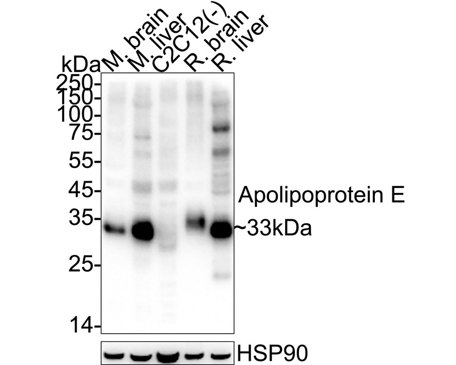 HA601391_5.jpg