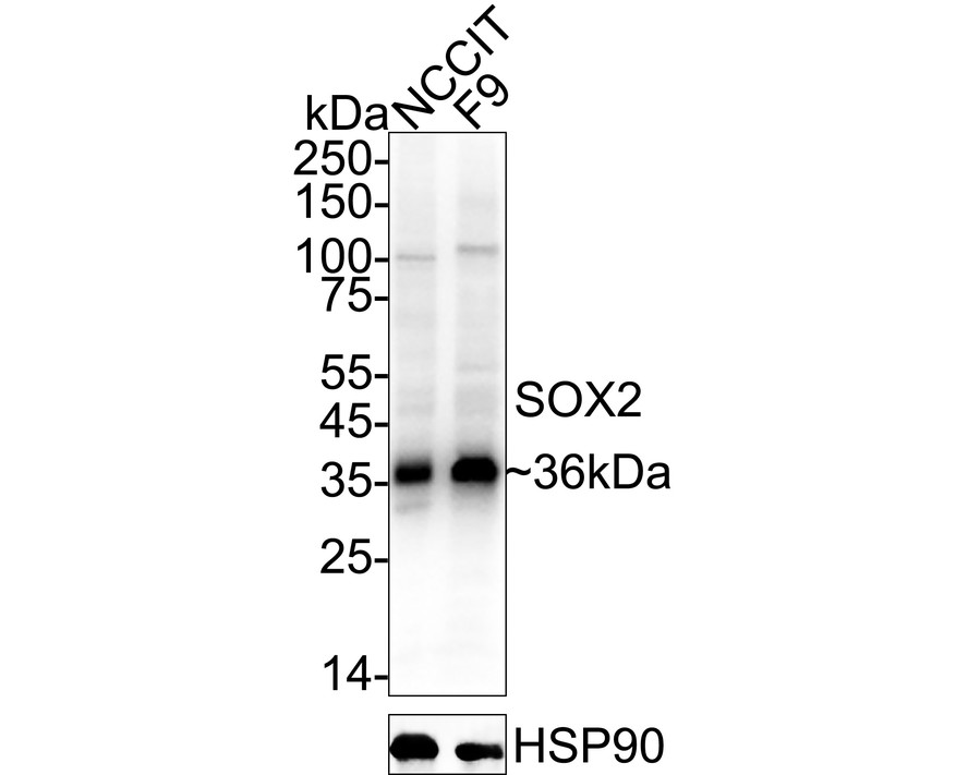 HA601396_9.jpg