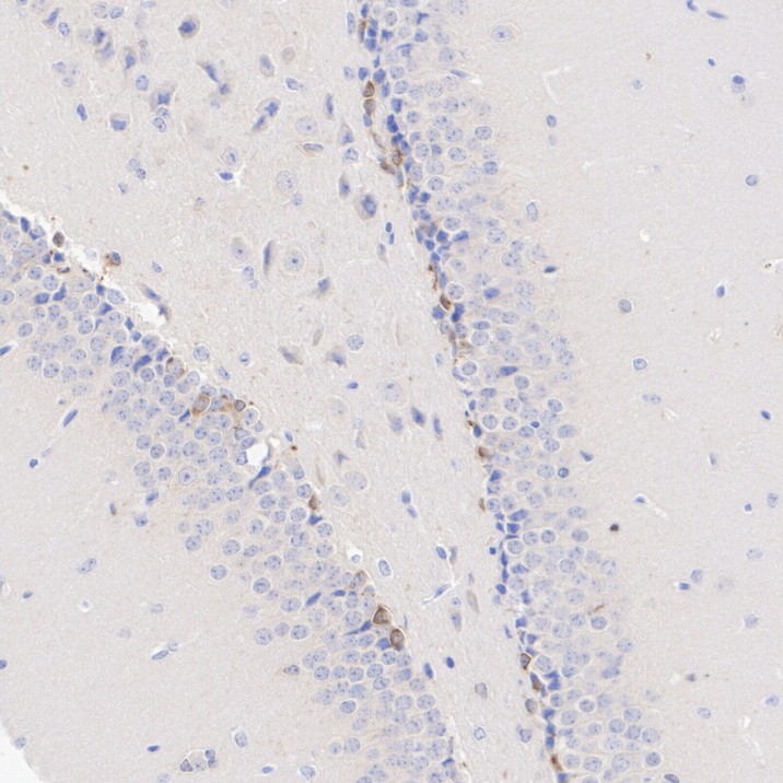 HA601398_2.jpg