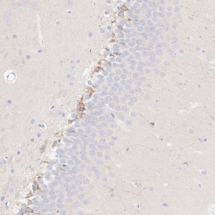 HA601398_3.jpg