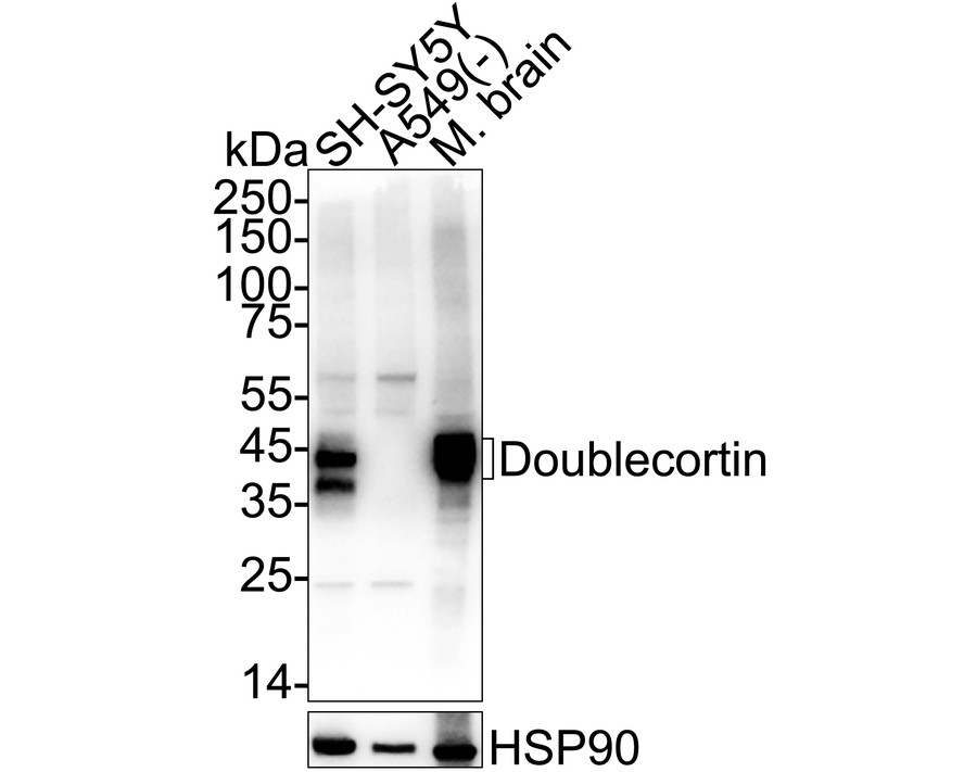 HA601398_4.jpg