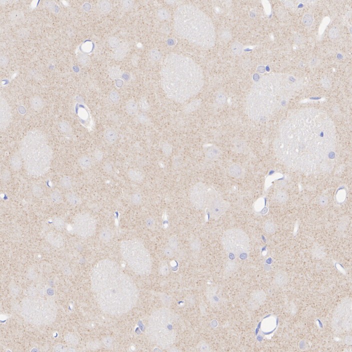 HA601402_6.jpg