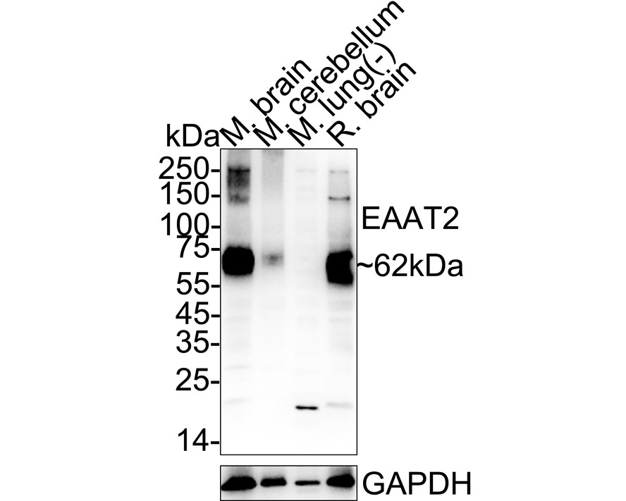 HA601403_4.jpg