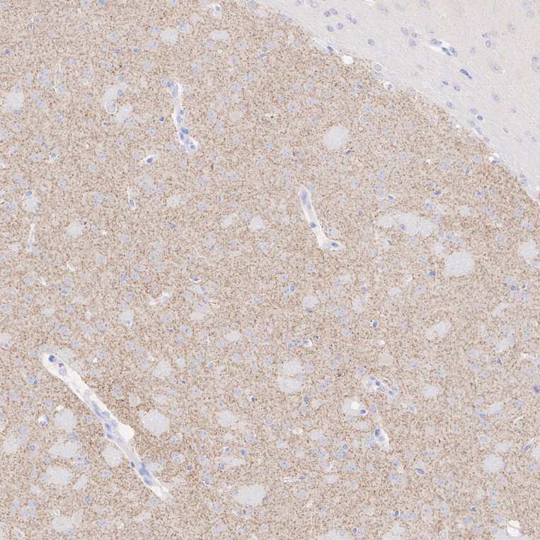 HA601404_3.jpg