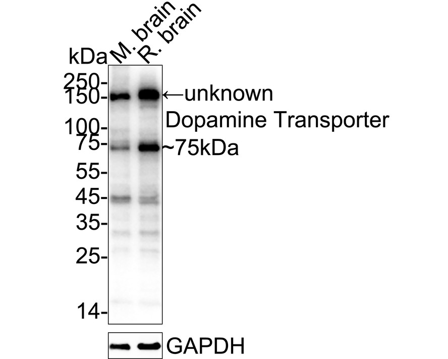 HA601404_5.jpg