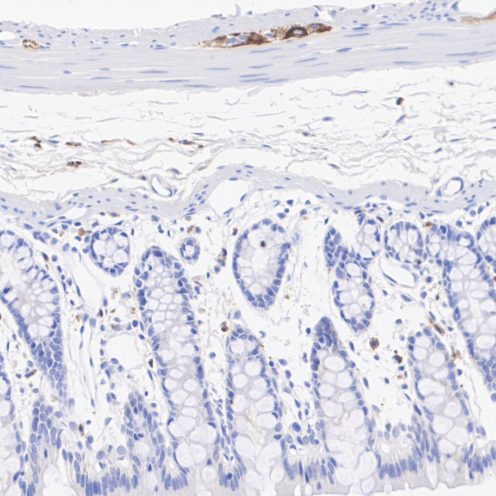 HA601405_4.jpg