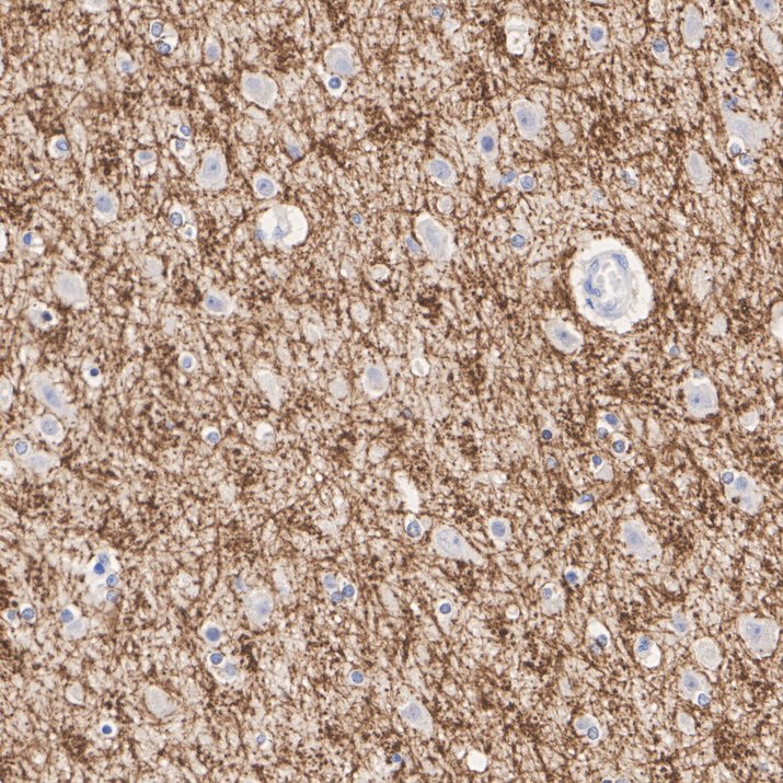 HA601407_3.jpg