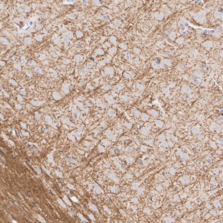 HA601407_6.jpg