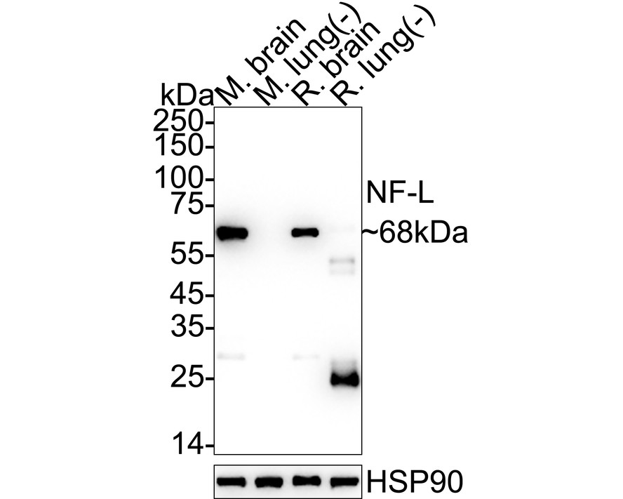 HA601409_5.jpg