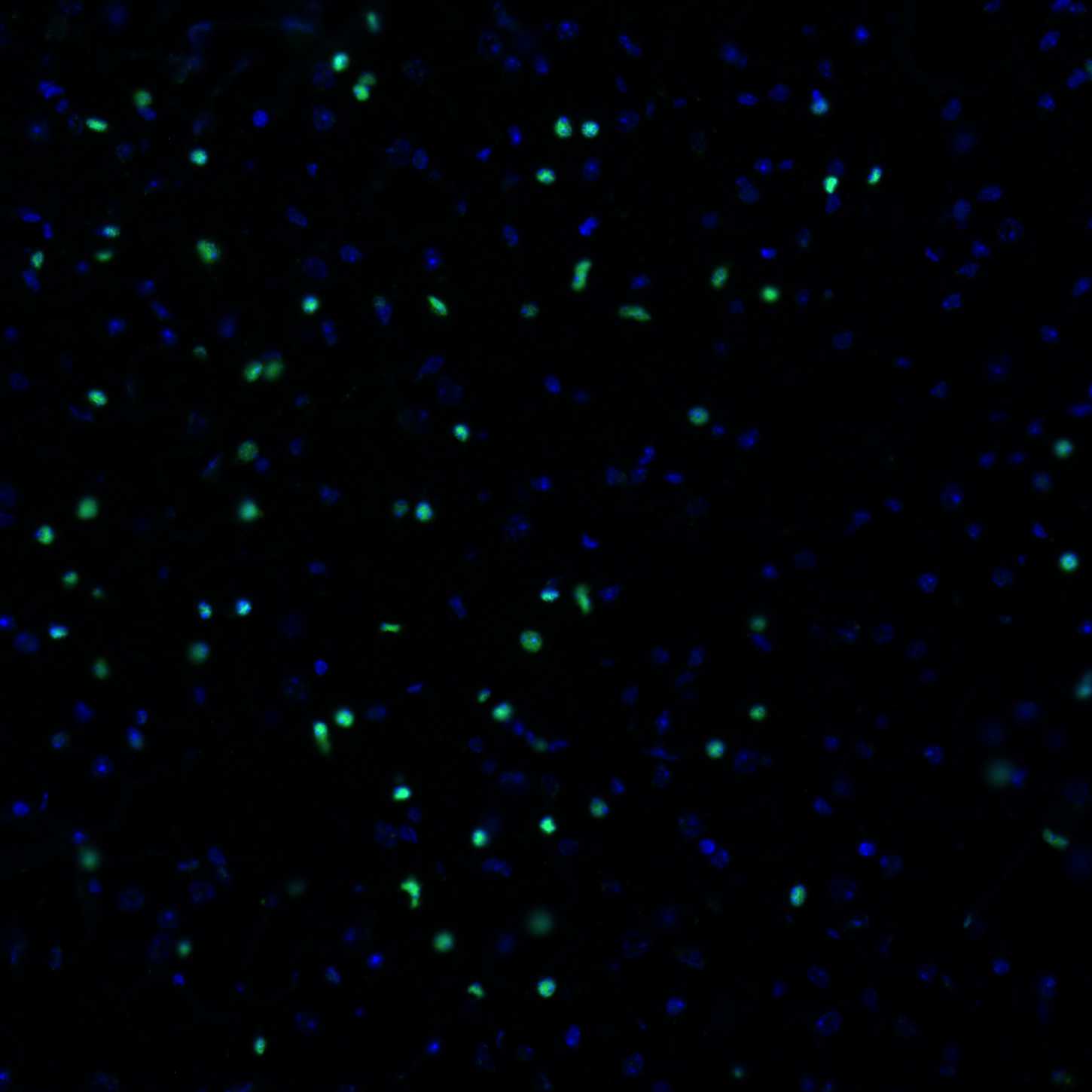 HA601413_5.jpg