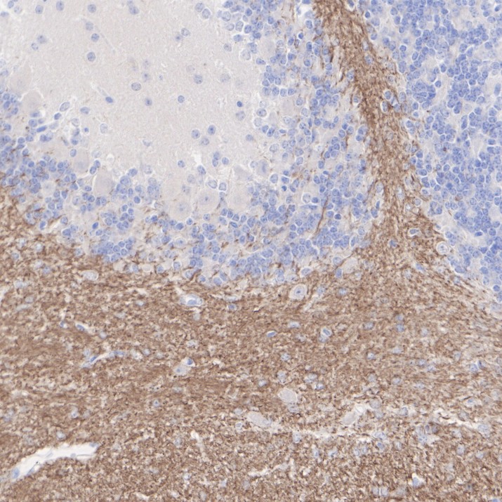 HA601414_4.jpg