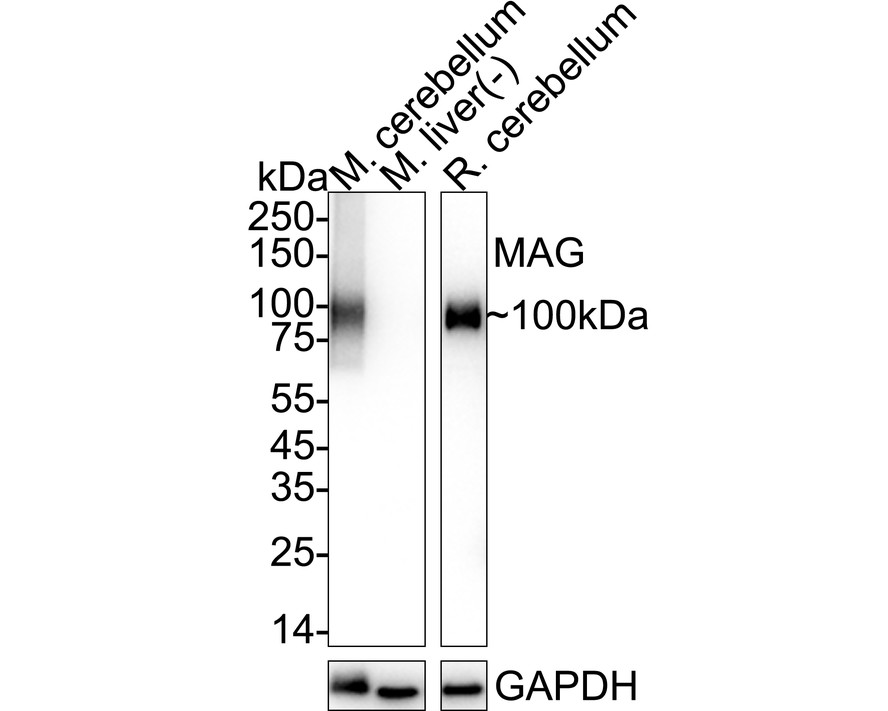HA601414_6.jpg