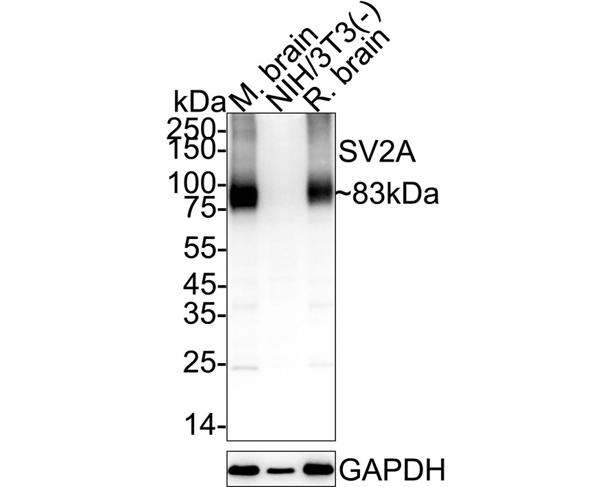 HA601421_5.jpg