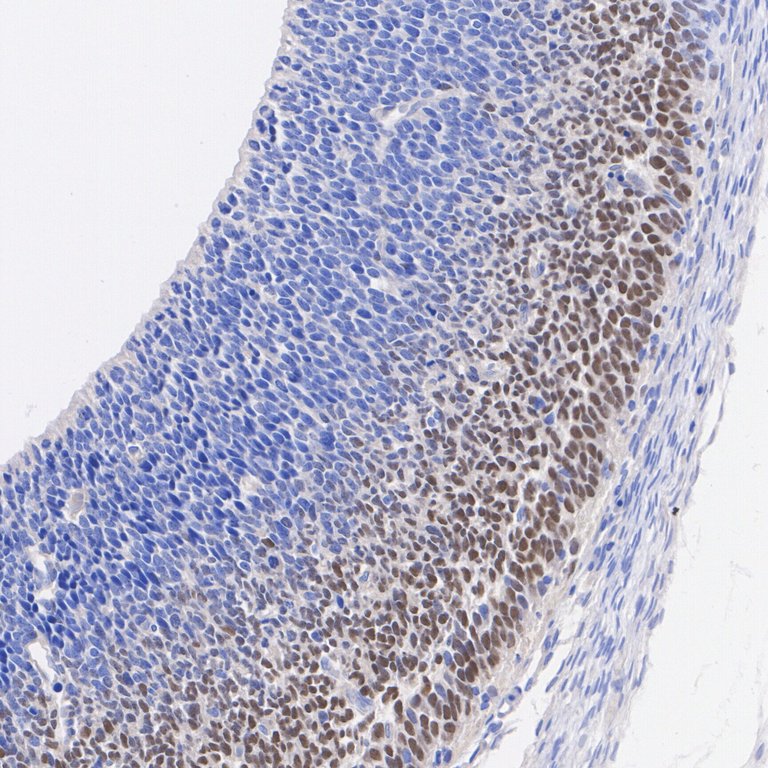 HA601422_2.jpg