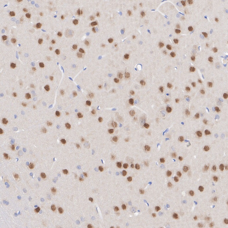 HA601422_3.jpg