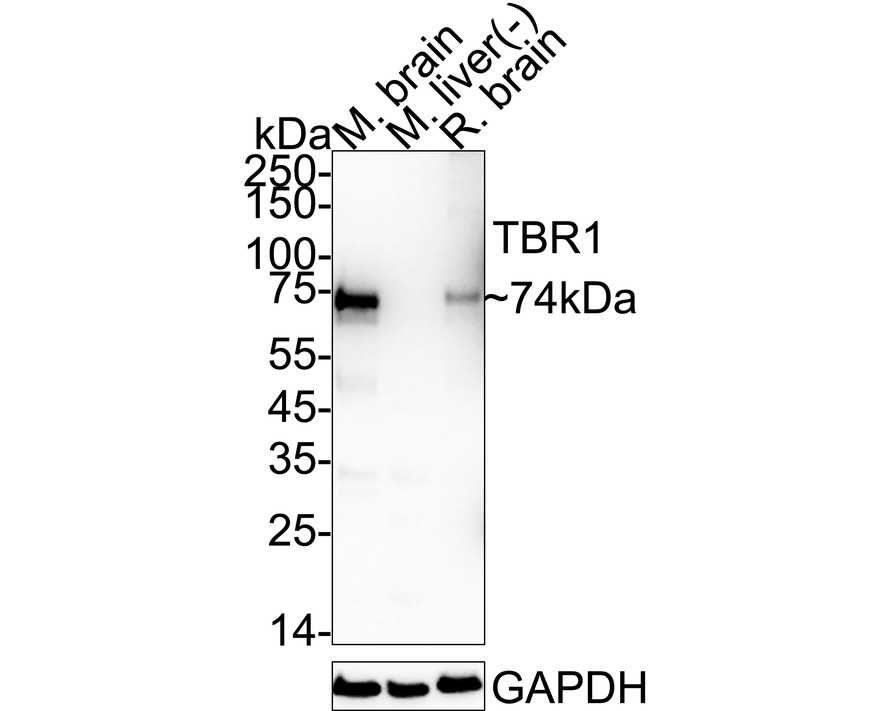 HA601422_4.jpg
