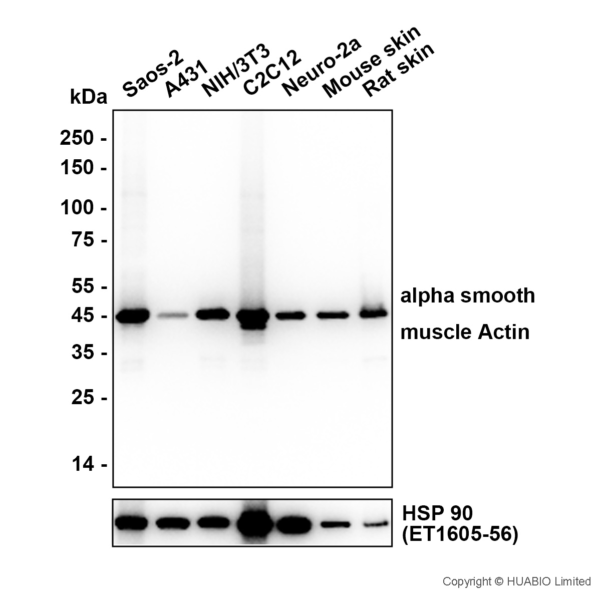 HA601427_1.jpg