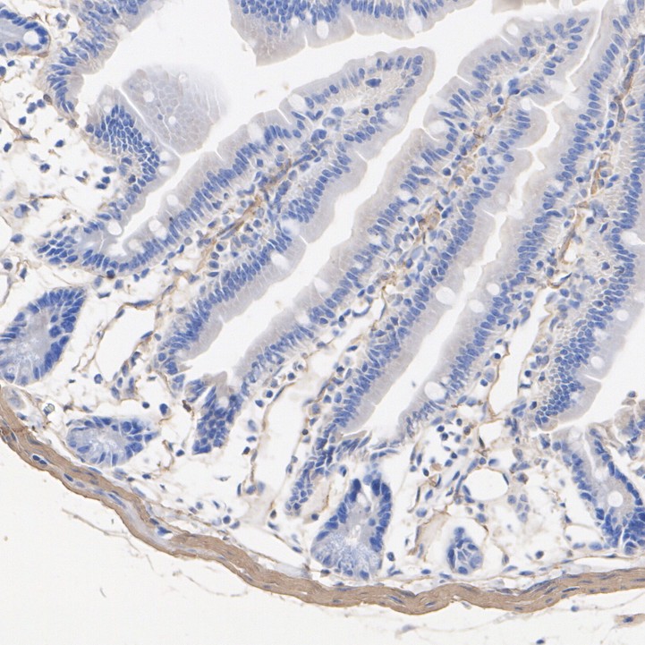 HA601427_3.jpg