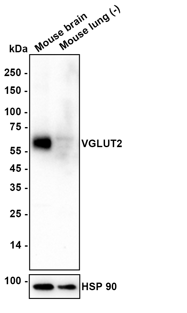 HA601451_5.jpg