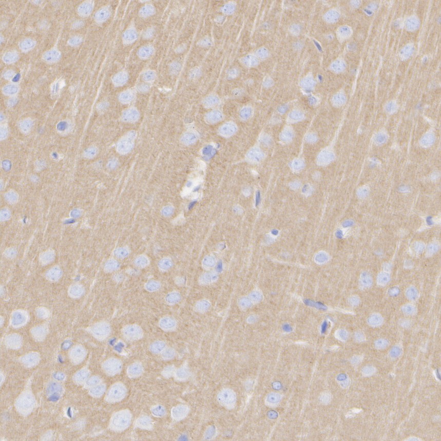 HA601466_3.jpg