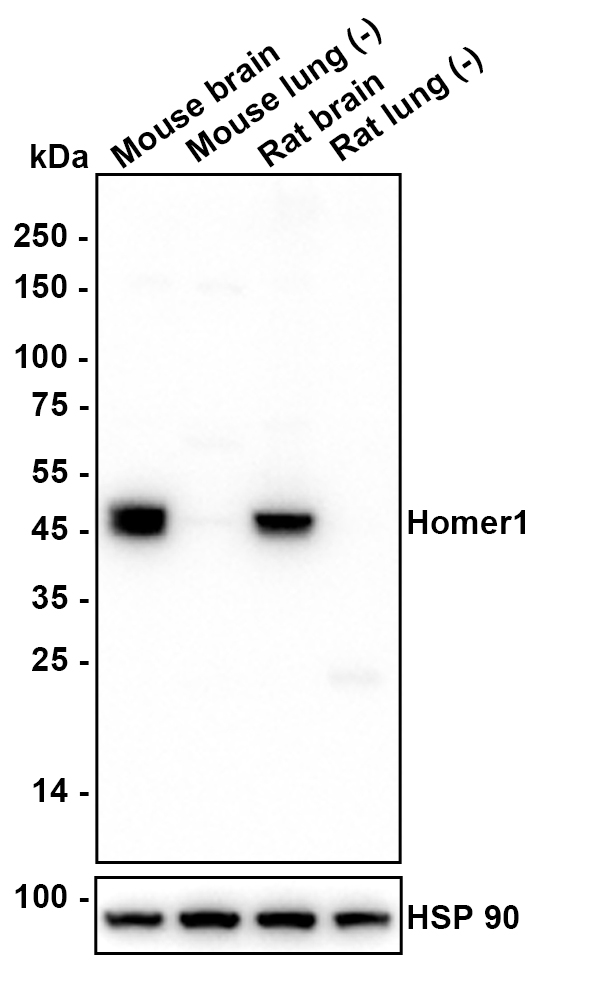 HA601466_5.jpg