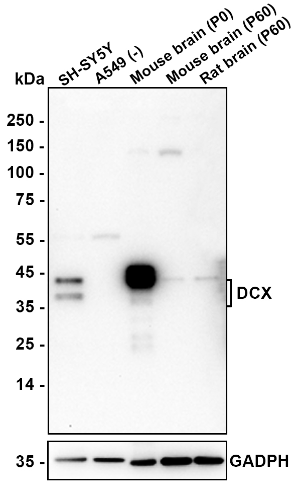 HA601495_2.jpg