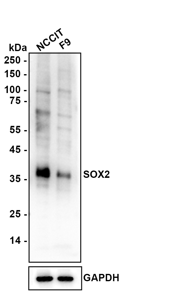 HA601500_2.jpg
