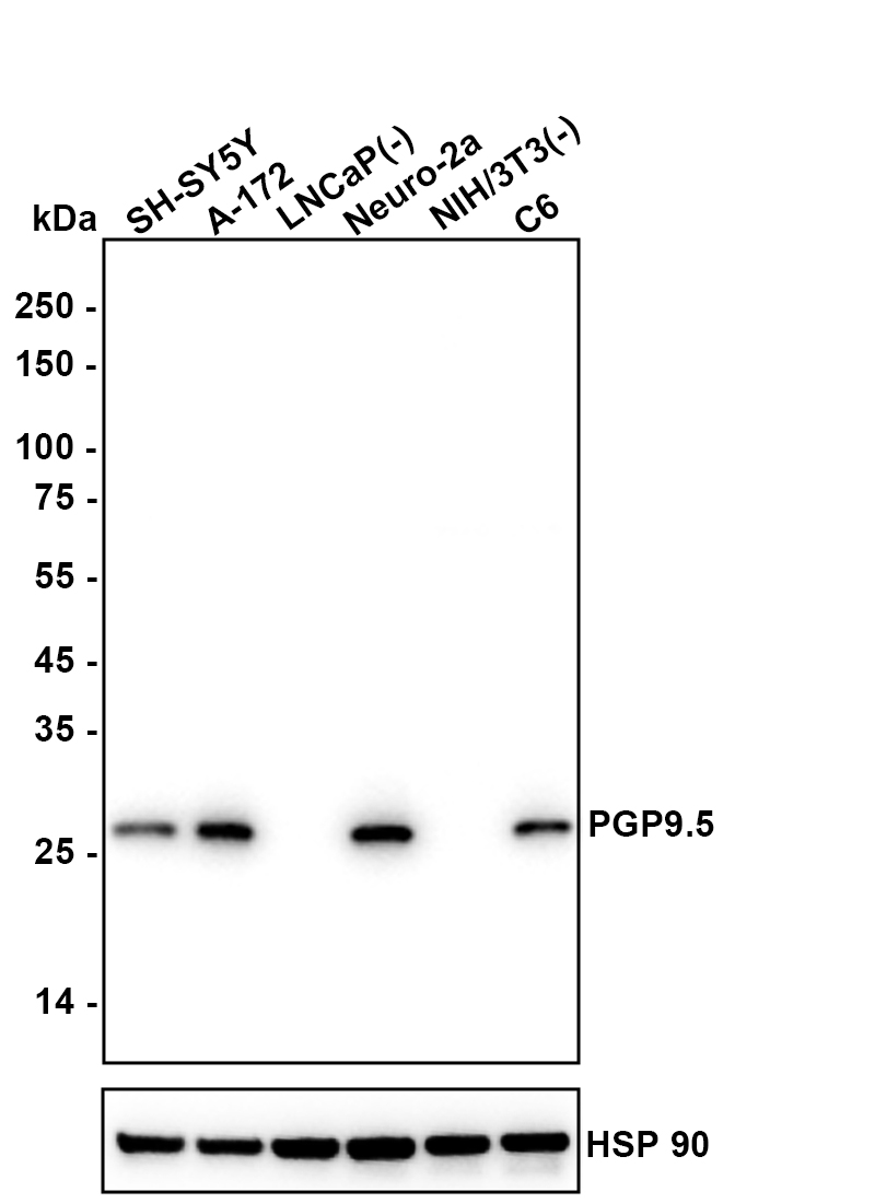 HA601515_5.jpg