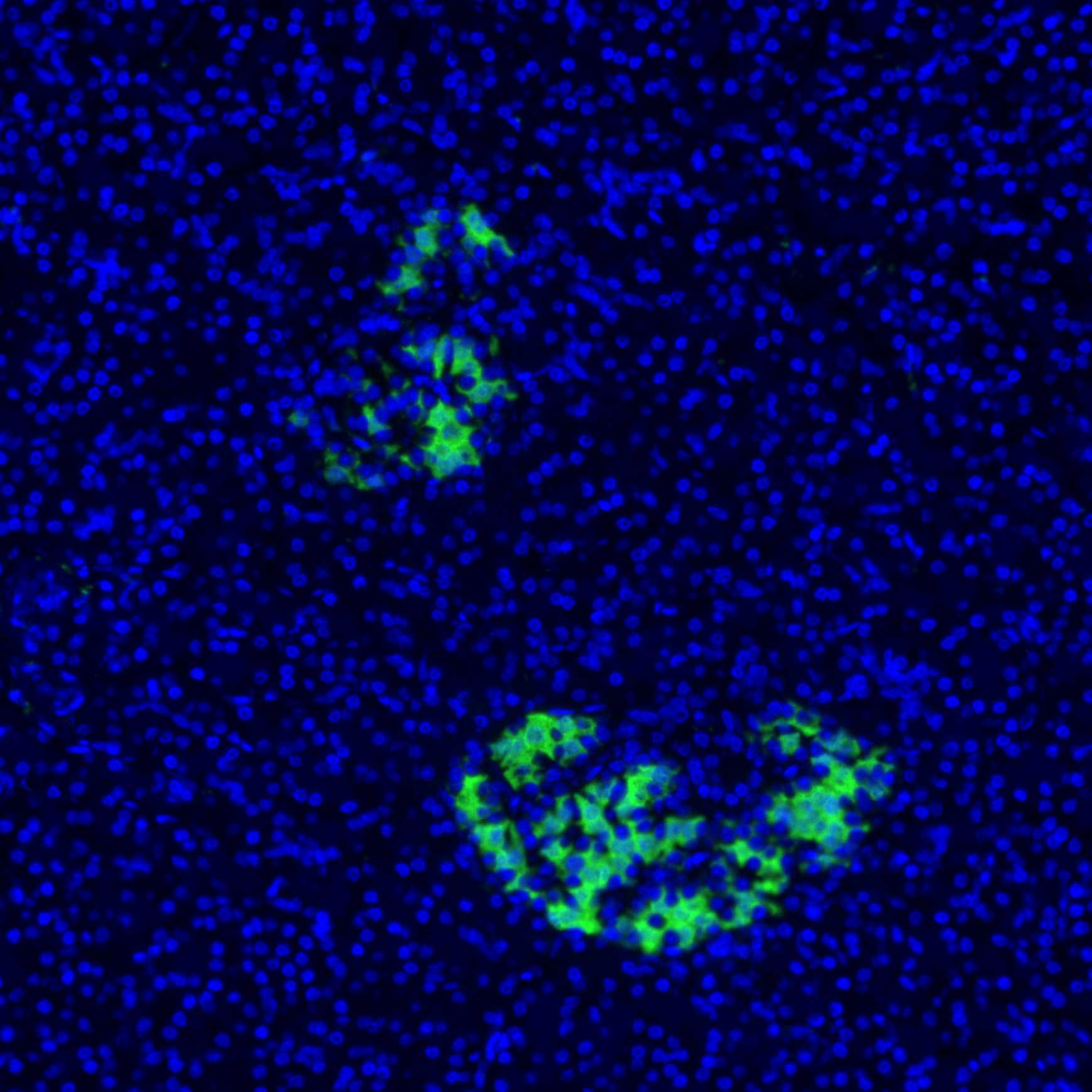 HA601515_7.jpg
